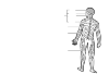 Schematic representation of the human nervous system